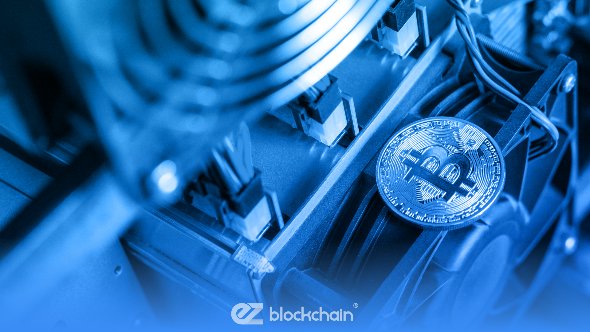 How Does the Hosting Process Work Step by Step?